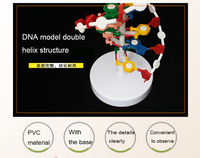 Modèle de double hélice d'ADN, composant le plus vendu