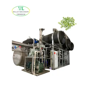 Mısır ve yeşil bezelye için çin endüstriyel ticari vakumlu dondurucu kurutucu makinesi
