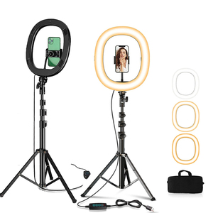Offre Spéciale personnalisé 10 pouces photographie lumière droite selfie tiktok vivant vidéo lumière de remplissage 12 pouces led anneau lumineux - Product Image 1