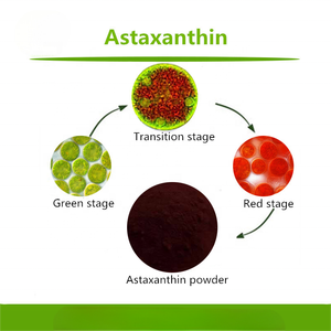 工場供給純粋ヘマトコッカスプルビアリス抽出物2% 5% 10%天然アスタキサンチンパウダー - Product Image 3