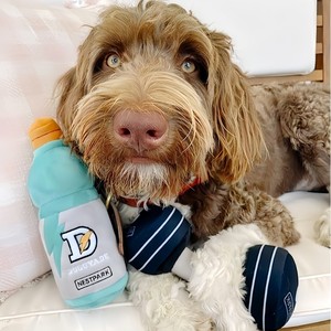 Juguete de peluche para masticar para mascotas, mancuernas para perros, estilo de bebida, resistente a mordeduras, dientes limpios, alivio de dientes, entrenamiento <span class=keywords><strong>interactivo</strong></span>, juguete chirriante - Product Image 3
