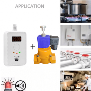 Valvola di intercettazione GPL di emergenza B2B Premium, a sfera in rame con tenuta a zero perdite, 100kPa AC220V, Prodotto per Sicurezza e Protezione - Product Image 5