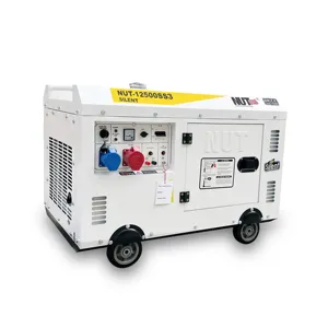 Somun 2.5kva 5kva 7.5kva 10kva invertör taşınabilir güç deniz satılık dizel jeneratörler