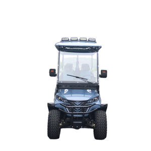 ROYALWAVE 2025 – Nouveau chariot de golf Tao 4+2 places, batterie 72 V, moteur à disque unique, utilitaire motorisé, 30 km/h, 70-90 km, import Chine/USA - Product Image 6