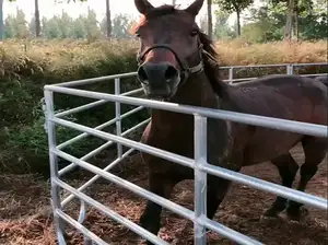 Galvanized Livestock Panels Farm Panel Horse Round Yard