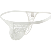 Sous-vêtements sexy pour hommes, rouge, rose, noir, blanc, respirants, en nylon tricoté, dentelle, maille, string taille basse pour jeunes adultes