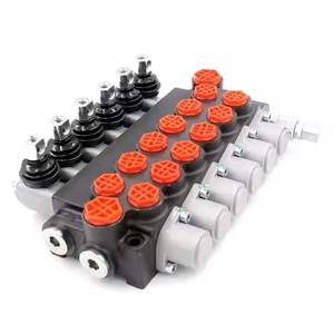 Válvulas Hidráulicas de Marca Privada P40-G12-G38, Mejore el Valor de su Marca con las Válvulas P40-G12-G38 - Product Image 3