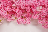 NINI Romantischer Hochwertiger Handgefertigter Rosa Seiden-Blumenbogen 8ft mit Gemischten Blumen für Hochzeitsdekoration