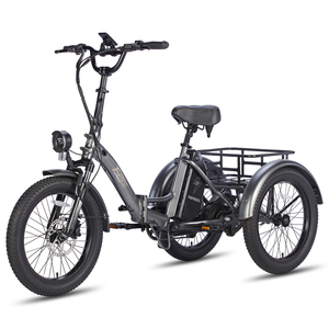 <span class=keywords><strong>Fafrees</strong></span> <span class=keywords><strong>F20</strong></span> Mate vélo cargo électrique avec 48V 20 pouces gros pneu et batterie au lithium livraison directe entrepôt prix de gros - Product Image 3