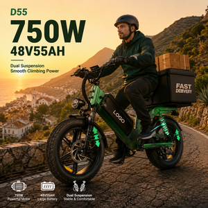 Bicicleta Eléctrica de Reparto D55 E-MTB 750W con Doble Suspensión, 48V55Ah, Neumático Grueso de 20'', 240km de Autonomía, Bicicleta de Carga OEM al por Mayor - Product Image 1