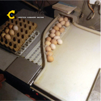 Système de Cages à Poulets BOLONG Machine de Ramassage Automatique des Œufs Équipement d'Élevage Automatisé de Poulets