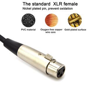 Câble audio Inno Piano Usb vers XLR, 3 mètres, pour enregistrement de microphone, périphériques d'ordinateur - Product Image 2