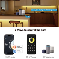 C100 4 zones MESH groupe à distance et synchronisation Tuya Smart 2.4G BT WIFI Zigbee CCT Mini 12/24V PWM contrôleur de lumière LED