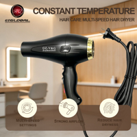 Sèche-cheveux professionnel HQ-8880, durable, 2400W, haute puissance, air chaud et froid, usage en salon