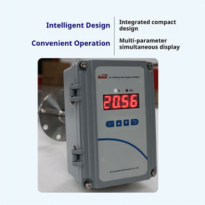 Analizador de Oxígeno en Gases de Combustión Runlai Y100 de Alta Calidad, Detector de Oxígeno O2 Personalizable - Product Image 2