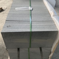 Carreaux de granit noir de sésame naturel de Chine G654 24 ''x 12''