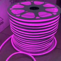 Cuerda de Luz LED para Exteriores AC IP67, Económica, Blanco Cálido, Blanco Frío, Amarillo Dorado, 220v, 8x16mm, Rollo de 100m, Luz LED de Neón Flexible de 220v