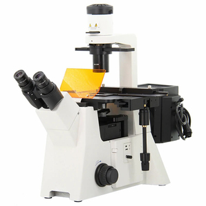 <span class=keywords><strong>Microscope</strong></span> fluorescent trinoculaire de laboratoire, <span class=keywords><strong>prix</strong></span> compétitif, <span class=keywords><strong>microscope</strong></span> à <span class=keywords><strong>fluorescence</strong></span> inversé pour laboratoire médical - Product Image 1