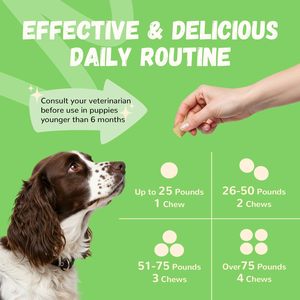 Probiotiques pour chiens OEM ODM Private Label avec prébiotiques favorisant un microbiome intestinal équilibré - Renforce la santé immunitaire - Friandises à mâcher molles - Product Image 5