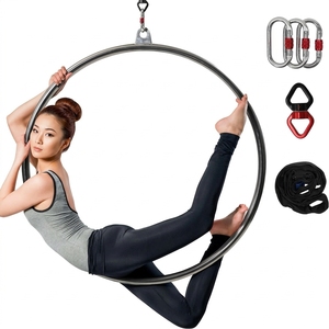 Ensemble de cerceaux aériens Wellshow Sport Lyra Hoop avec matériel de gréement Cerceau unique en acier inoxydable Circus Idéal pour le studio de danse - Product Image 1
