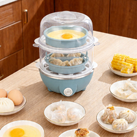Cuisinière à œufs électrique double couche 110V/220V, design bleu coloré, en promotion