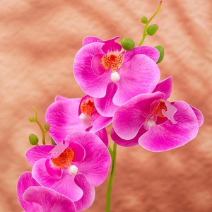 กล้วยไม้บอนไซเทียม4ชิ้นทำด้วยมือของตกแต่งบ้าน - Product Image 6