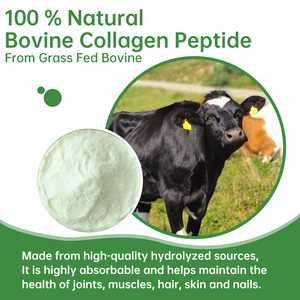 חם מוכר פפטיד קולגן טיפול בעור <span class=keywords><strong>bovine</strong></span> אבקת חלבון מן מרעה עשב - Product Image 5