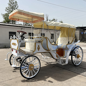 รถม้าไฟฟ้าสีขาวสุดหรูแบบวิคตอเรีย 4 ล้อ สำหรับการท่องเที่ยว ราคาขายส่ง - Product Image 2