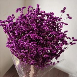 <span class=keywords><strong>Fleurs</strong></span> <span class=keywords><strong>séchées</strong></span> Plantes <span class=keywords><strong>Fleurs</strong></span> conservées Limonium <span class=keywords><strong>Bouquet</strong></span> d'herbe cristal Fleur sèche pour la décoration intérieure - Product Image 2