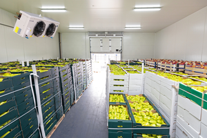 <span class=keywords><strong>ตู้</strong></span>แช่ไอศครีมอุปกรณ์สำหรับทำผักสดอุปกรณ์เพาะเห็ด - Product Image 2