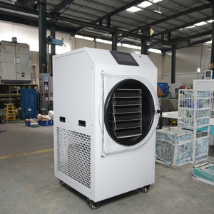 Machine de lyophilisation domestique avec PLC et <span class=keywords><strong>pompe</strong></span> pour la transformation alimentaire, équipement de séchage automatique de légumes à haute efficacité - Product Image 2