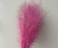 Herbe séchée Herbe de pampa séchée naturelle Décor Boho Wedding Flower Arrangement Muhly Grass Muhlenbergia Capillaris