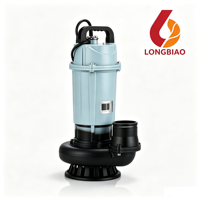 Pompe solaire flottante submersible QDX économique à grand débit, sans facture d'électricité, pour l'irrigation des villages