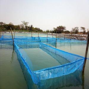 Cage flottante en maille HDPE pour poissons (tilapia) – 1mm, 3mm, 4mm – Bleue – Idéale pour l'aquaculture en Afrique – Vente chaude - Product Image 1