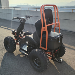 Nouvelle trottinette électrique pour adultes de 6000 W avec quatre roues de 23 pouces à vendre avec certificat CE Go Cart - Product Image 2