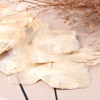 Graines de fleur de trompette indienne séchées Mu Hu, Oroxylum Indicum, fruits séchés, semences d'Oroxyli pour les herbes