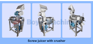 Công nghiệp Báo Chí lạnh máy ép trái cây vắt chanh cà rốt <span class=keywords><strong>Aloe</strong></span> Vera gừng hạt điều Táo Trái Cây Rau quá trình nước trái cây làm cho máy - Product Image 4