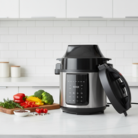 Cuisinière à pression électrique programmable en acier inoxydable, friteuse à air, écran LED, capacité 1L, classe d'efficacité énergétique, usage domestique