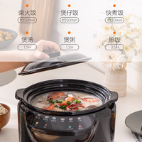 Cuiseur à riz intelligent à micro-pression multifonctionnel 3L personnalisé de marque avec pot intérieur en céramique, écran tactile couleur, minuterie de retard de 24 heures