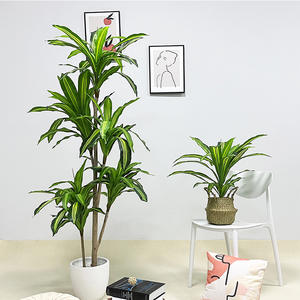 บอนไซ Dracaena ประดิษฐ์ที่เหมือนจริงน้ำหอมข้าวโพดพืชตกแต่งกระถางบราซิลต้นไม้ประดิษฐ์ - Product Image 2