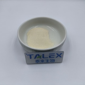 Bromelina en Polvo de Fábrica 2400 GDU/g CAS 9001-00-7, Suplemento de Enzima Digestiva, Materia Prima, Bromelina en Polvo de Grado Alimenticio - Product Image 2