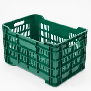 Di alta qualità la migliore vendita di plastica custom design scatola di verdure cassa di plastica con buon prezzo