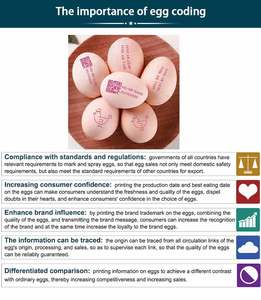 Barcode Printer Inkjet telur otomatis cerdas kualitas tinggi pada merek dagang dan memiliki fungsi pencetakan tanggal kedaluwarsa - Product Image 6