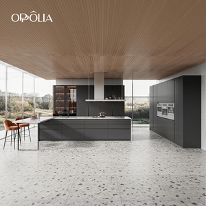 Meubles de cuisine modernes OPPOLIA OEM avec îlot, design sans poignées, grand espace de rangement, laque gris mat moyen, E0 - Product Image 2