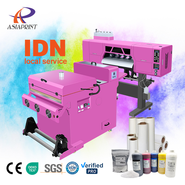 DTF Printer With a Width of 60cm With Two Nozzles and Hansen Board and Drying Shaking Machine Set