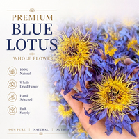 Fleurs de lotus bleues séchées naturelles de qualité supérieure, fleurs entières, export en vrac
