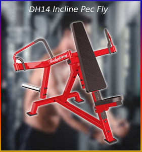 Machine de <span class=keywords><strong>presse</strong></span> de poitrine de <span class=keywords><strong>musculation</strong></span> de haute qualité Strongway équipement de gymnastique Commercial inclinaison Pec Fly pour la <span class=keywords><strong>musculation</strong></span> - Product Image 4