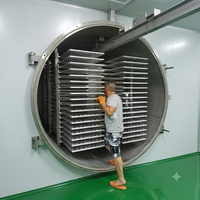 Équipement de séchage sous vide cylindrique industriel de 240 m², chauffage à la vapeur, stockage à froid, capacité de 2400 kg pour la transformation alimentaire en vrac