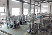 Mélangeur automatique industriel de CO2 pour boissons gazeuses, machine à mélanger les boissons gazeuses et l'eau gazeuse