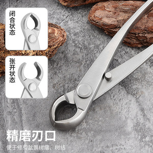 Alicates para articulaciones esféricas de 21 cm, de acero inoxidable, de precisión, para podar bonsáis, herramientas de jardinería y paisajismo - Product Image 5